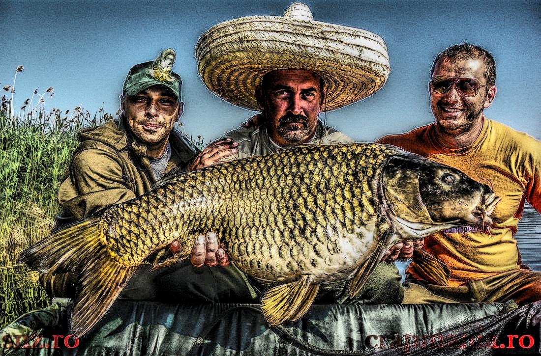 Crapmania (2) - 2013